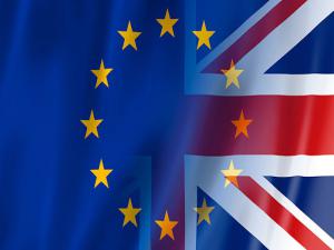AB İngiltere'nin Brexit'i erteleme talebini kabul etti